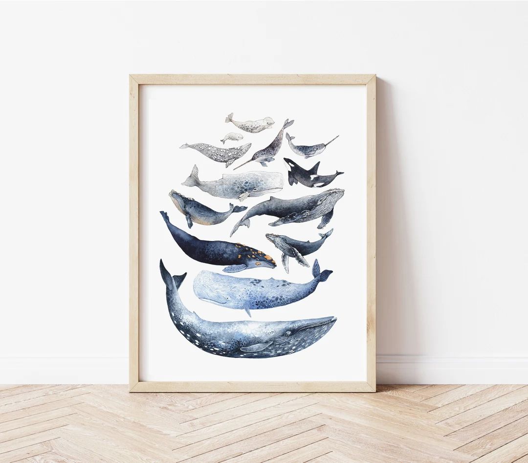 Whale Print Whale Stack Watercolor Giclée Print 8"x10" 11"x14" and 12"x16" Home Decor Wall Art N... | Etsy (US)