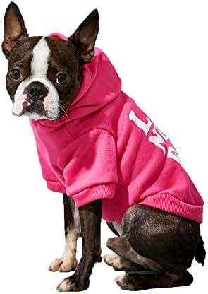 QWINEE Y2K Letter Graphic Dog Hoodie Sweatshirt Dog Clothes Pet Apparel for Small Medium Dogs Puppy  | Amazon (US)
