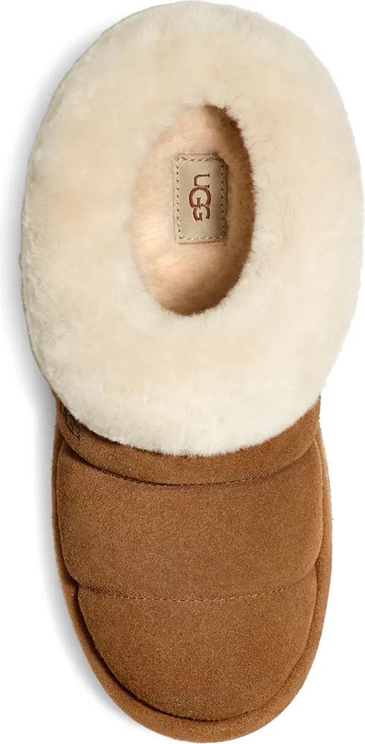 Tazzlita Genuine Shearling Trim Platform Slipper (Women) | Nordstrom