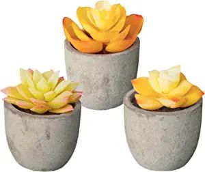 3 Piece Yellow Decor Artificial Succulent Plants in Grey Pots Realistic Greenery Mini Potted Faux... | Amazon (US)
