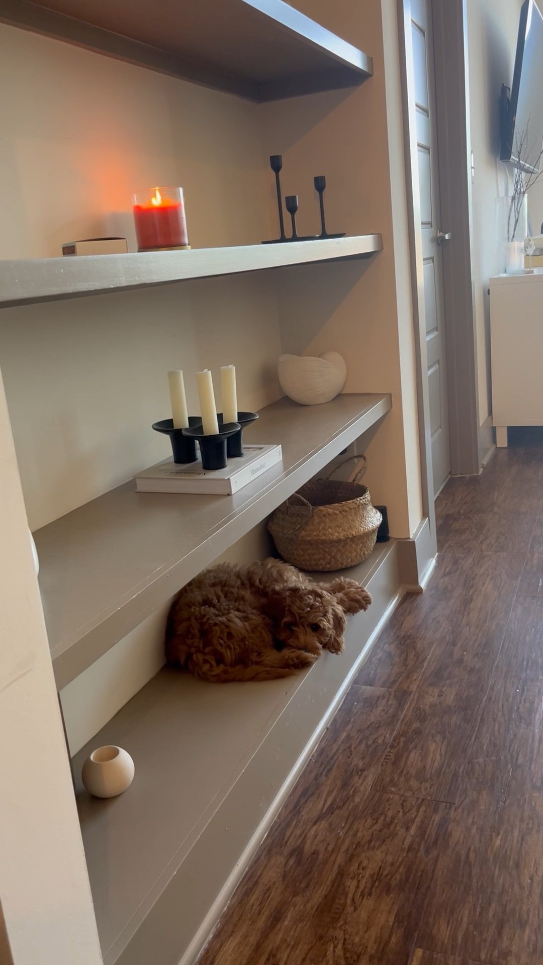 Cute home + shelf decor …. Cutest is a costume made & he’s not for sale. 🐾

H&M + target + home goods

#LTKunder100 #LTKhome #LTKunder50