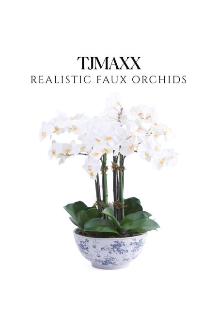 Beautiful faux potted orchid arrangement is back! Seen it in person and it’s gorgeous! Great size for the price too. 

Tjmaxx finds faux flowers spring decor blue and white decor 

#LTKsalealert #LTKhome #LTKunder50