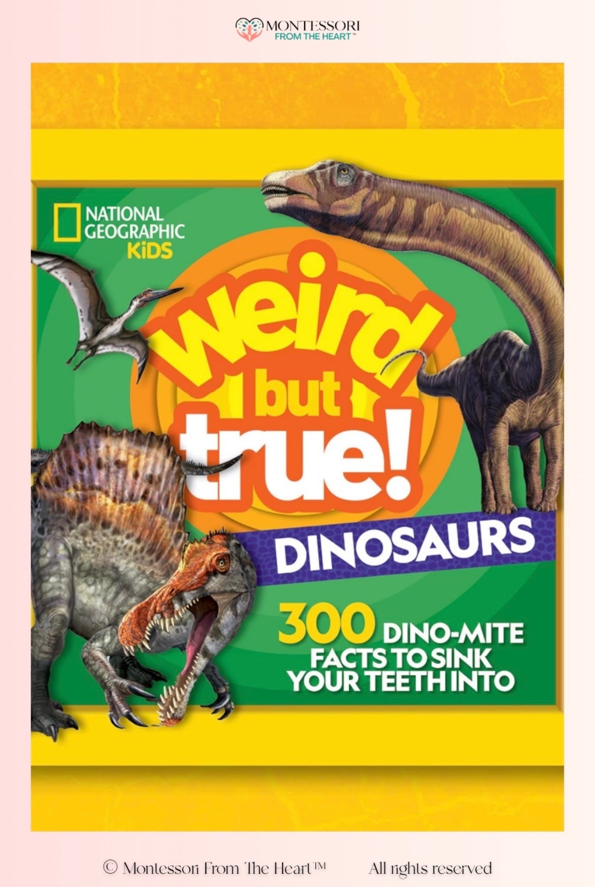 National Geographic Kids ~ Weird But True Dinosaurs - 300 Dinomite Facts to Sink your Teeth Into

#LTKkids #LTKfamily #LTKhome