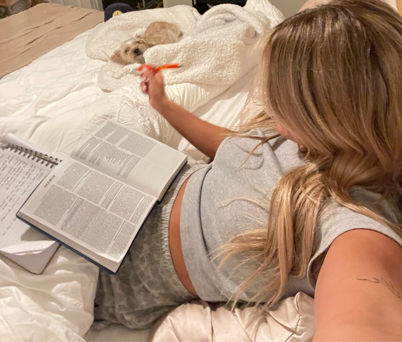 KJV Bible