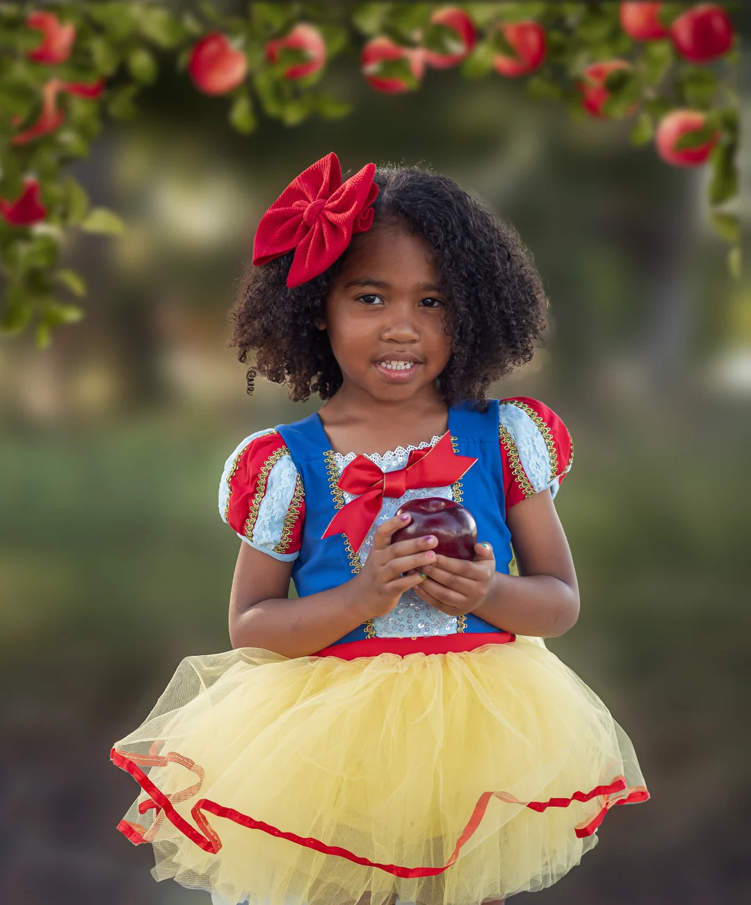 Apple Poison Princess Dress, Princess tutu Dress, costume | Etsy (US)