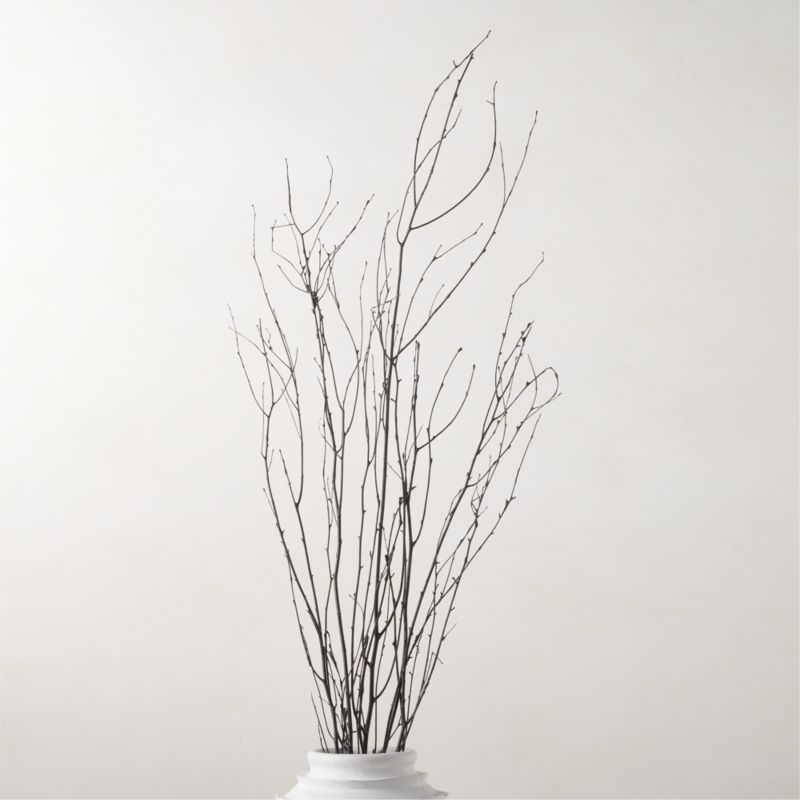 Decorative Black Birch Branches 50'' | CB2 | CB2