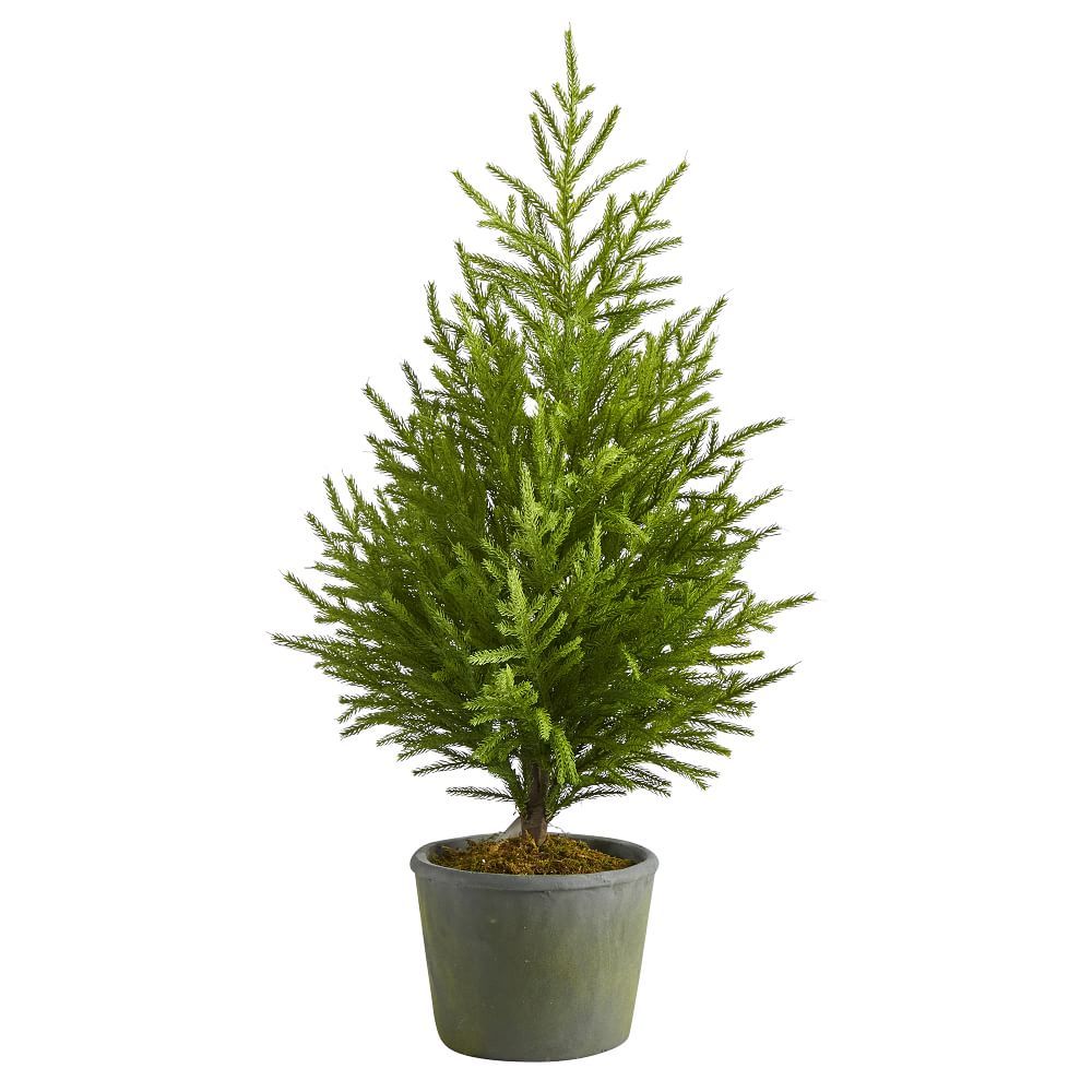 Faux Norfolk Island Pine Tree w/ Planter | West Elm (US)