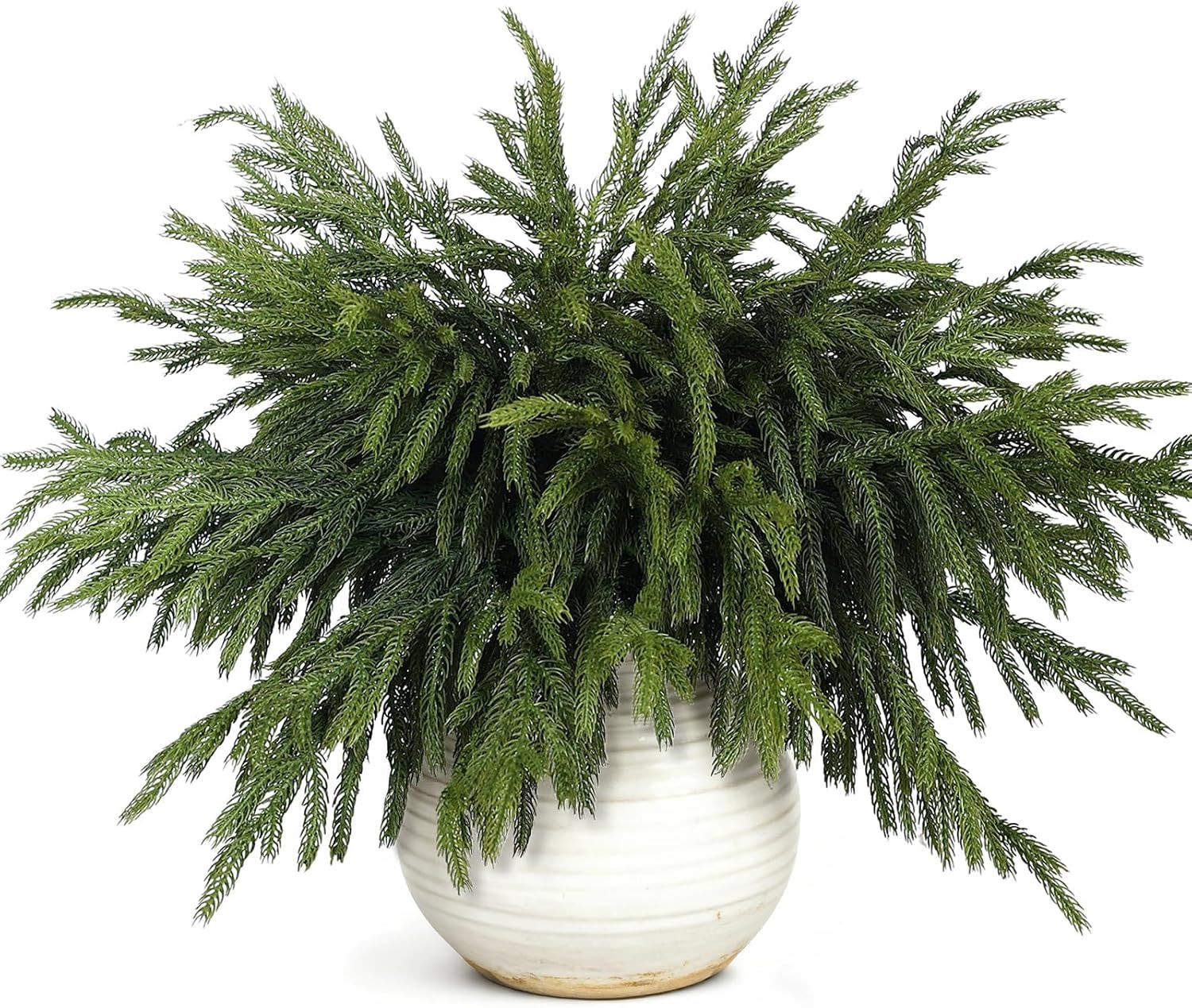 20 Pcs 18"Lifelike Touch Artificial Norfolk Pine Branches for Christmas | Amazon (US)