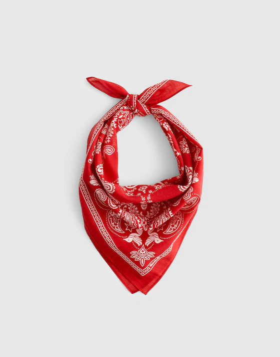 Organic Cotton Bandana | Madewell