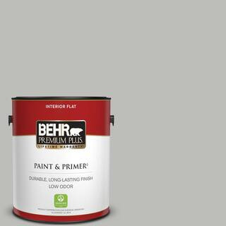1 gal. #PPU24-17 Hailstorm Gray Flat Low Odor Interior Paint & Primer | The Home Depot