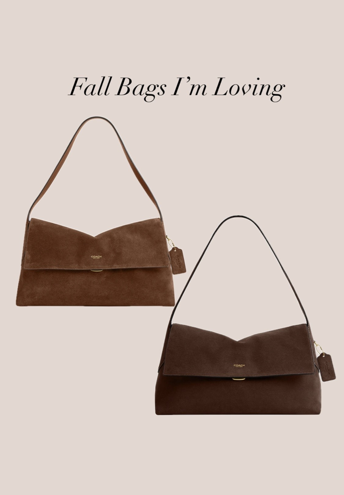 Saw this same bag on a friend during LTKCon and o can’t stop thinking about it. 
Which color is your favorite? Left or right?

#LTKOver40