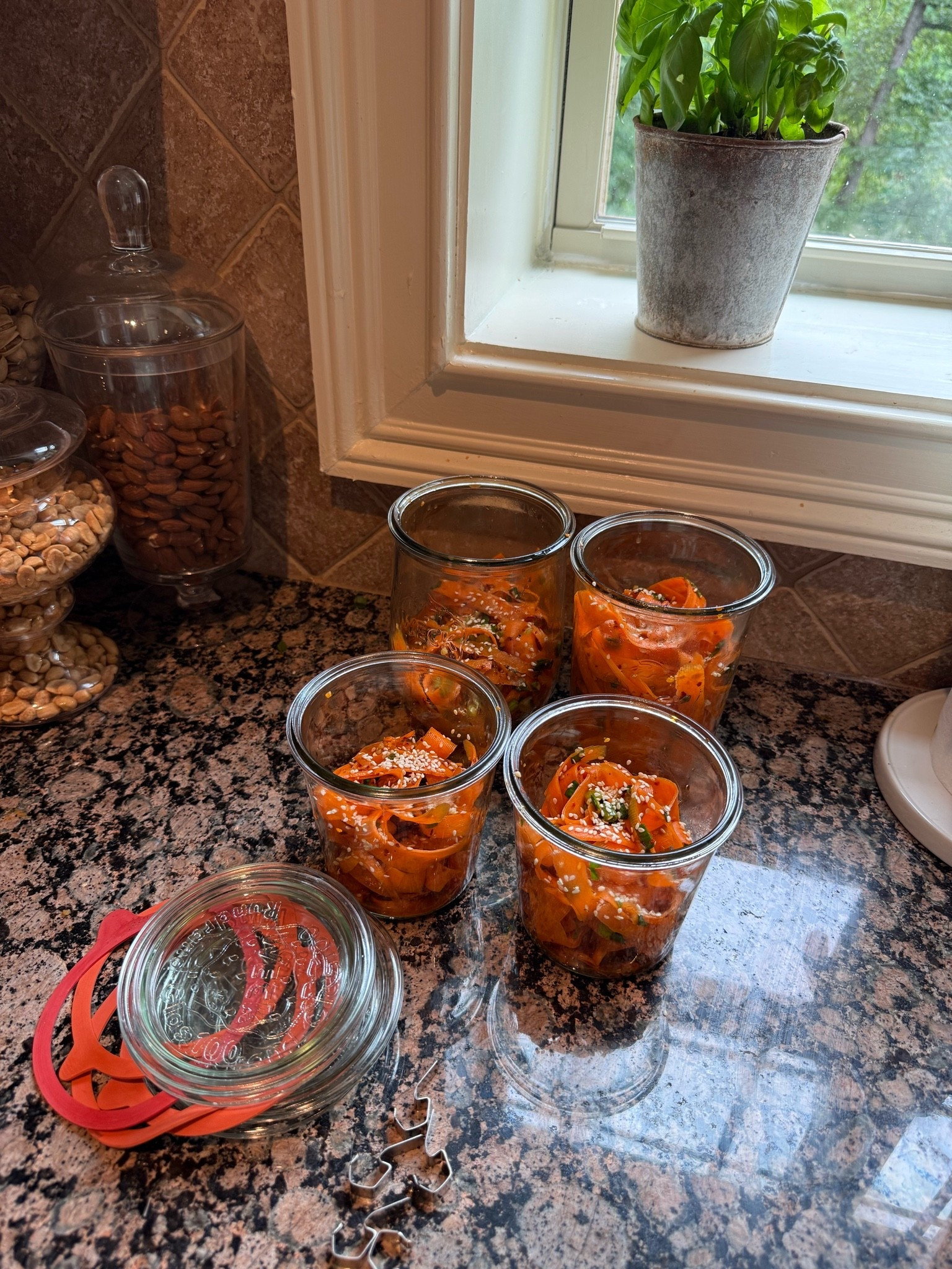 #LTKHome #LTKfoodie #LTKdayinmylife