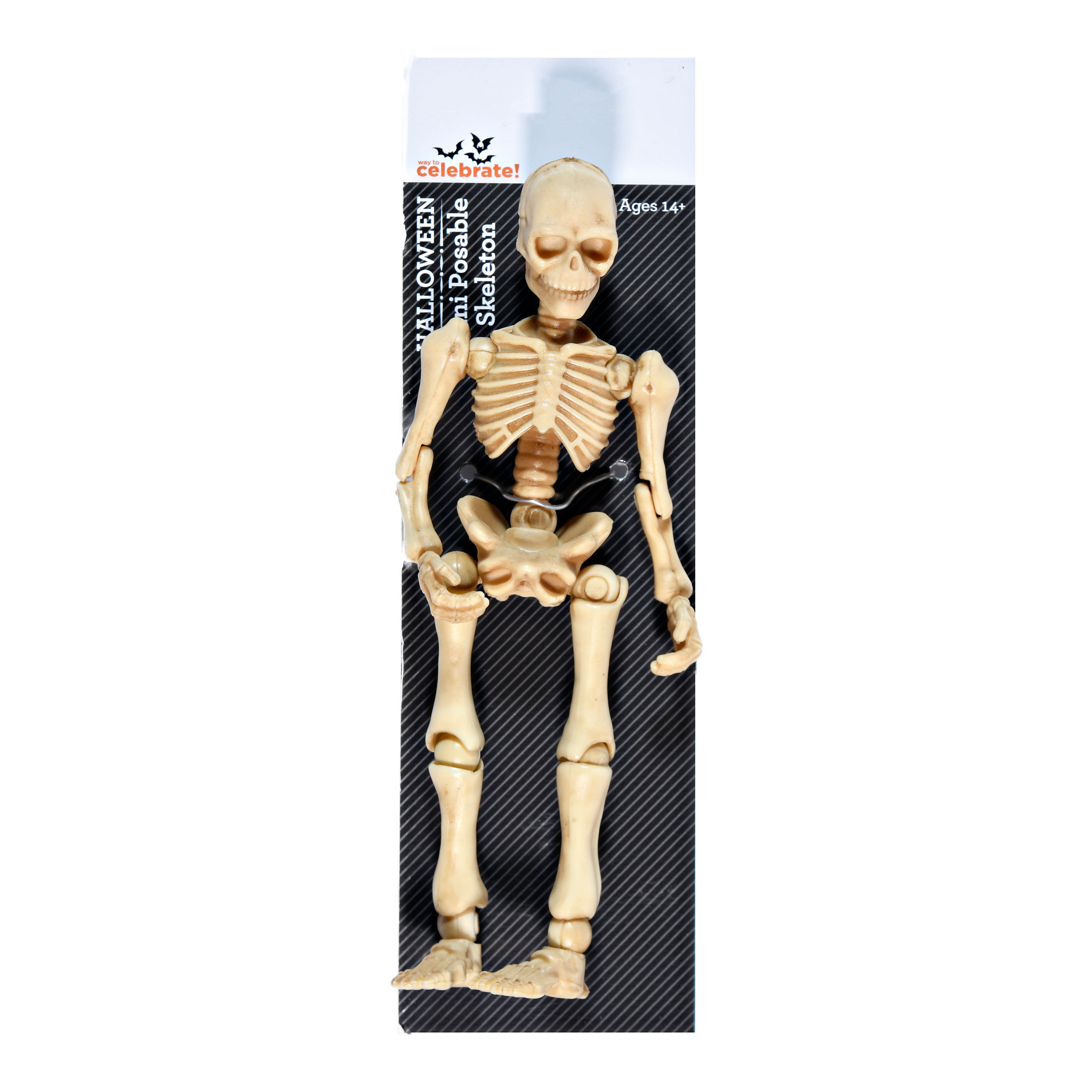 Way To Celebrate Posable Skeleton Human | Walmart (US)