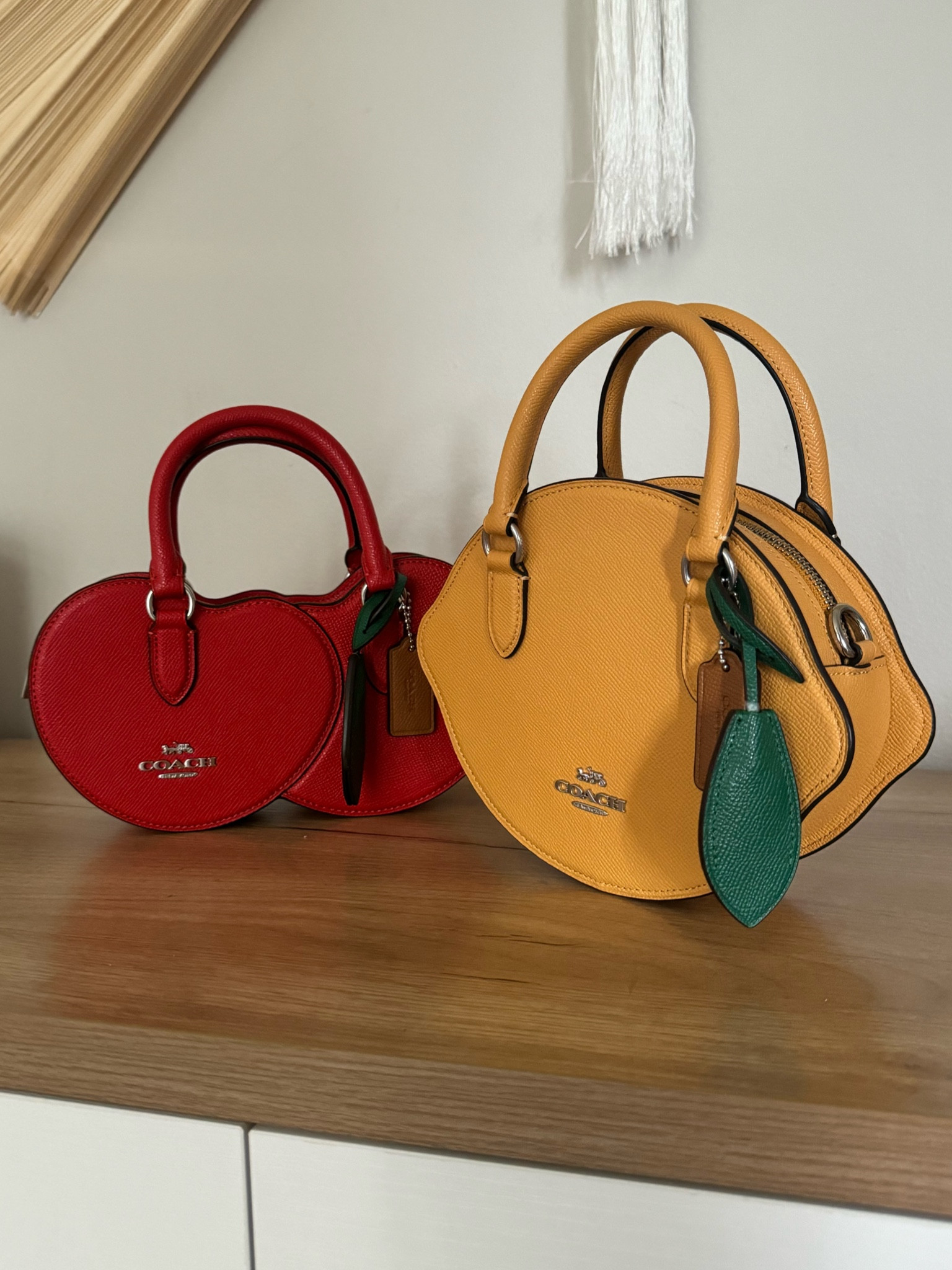 Fruit Coach bags 🥹🍒