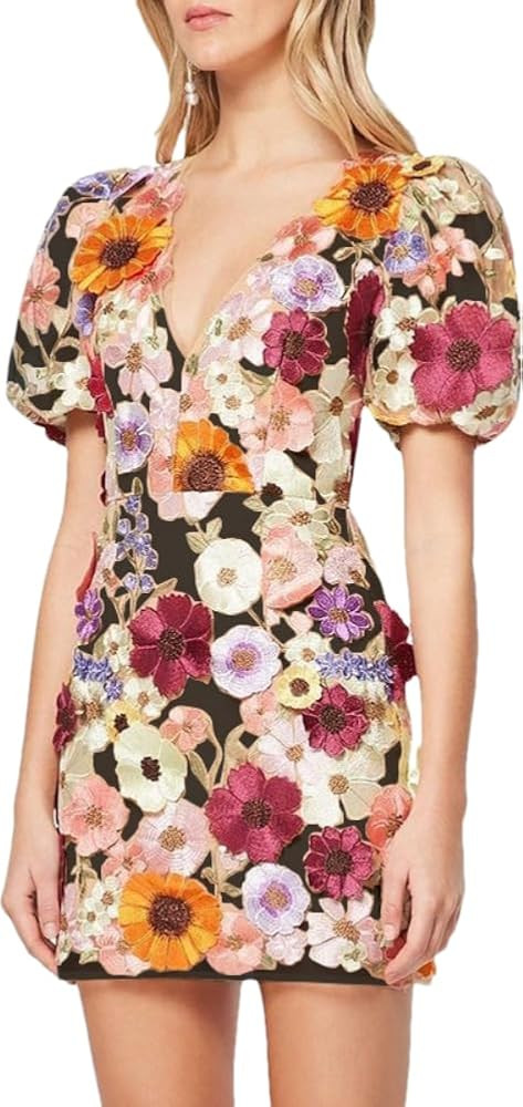 Bodycon Dress Women's 3D Floral Embroidery Dress Sheer Mesh Vneck Neck Lace Bodycon Party Cocktai... | Amazon (US)