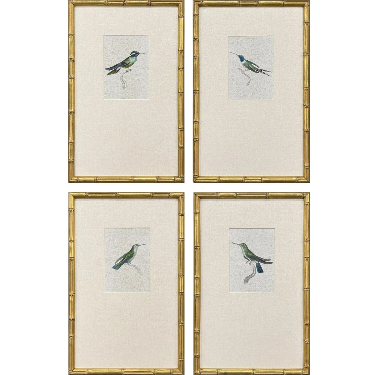 Antique Hummingbirds Framed Art (Set of 4) | Wayfair North America