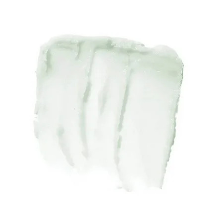 e.l.f. Lip Exfoliator Mint Maniac | Walmart (US)