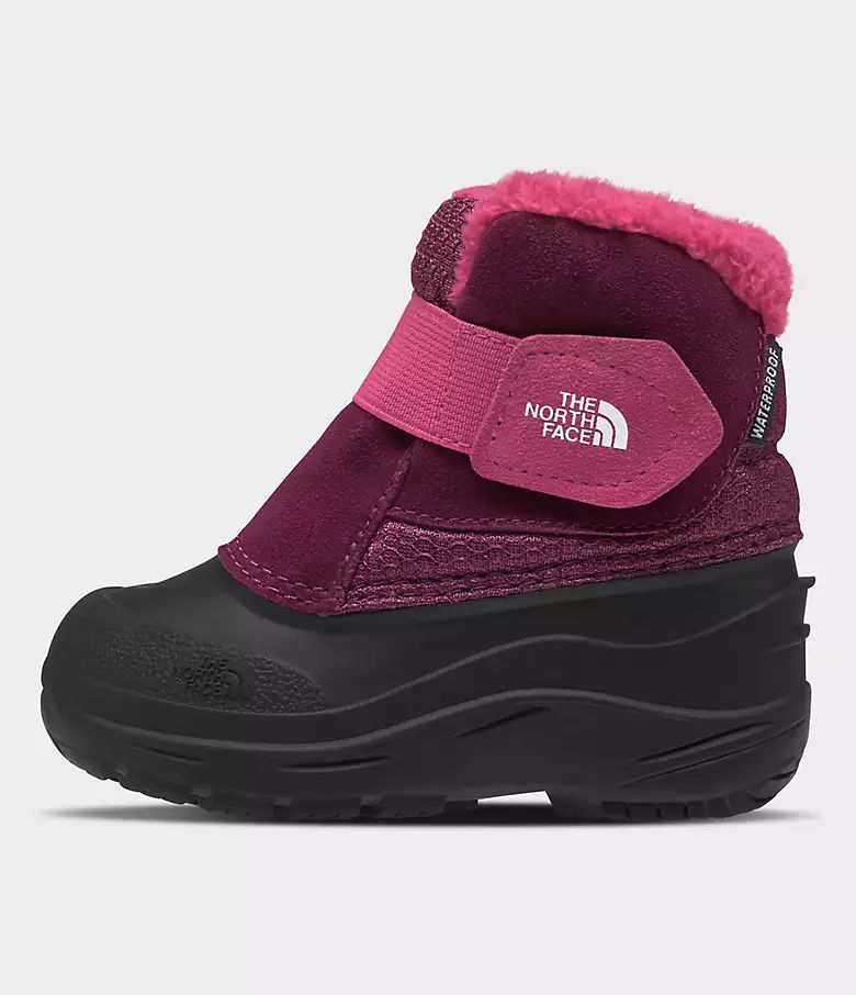 Toddler Alpenglow II Boots | The North Face (US)