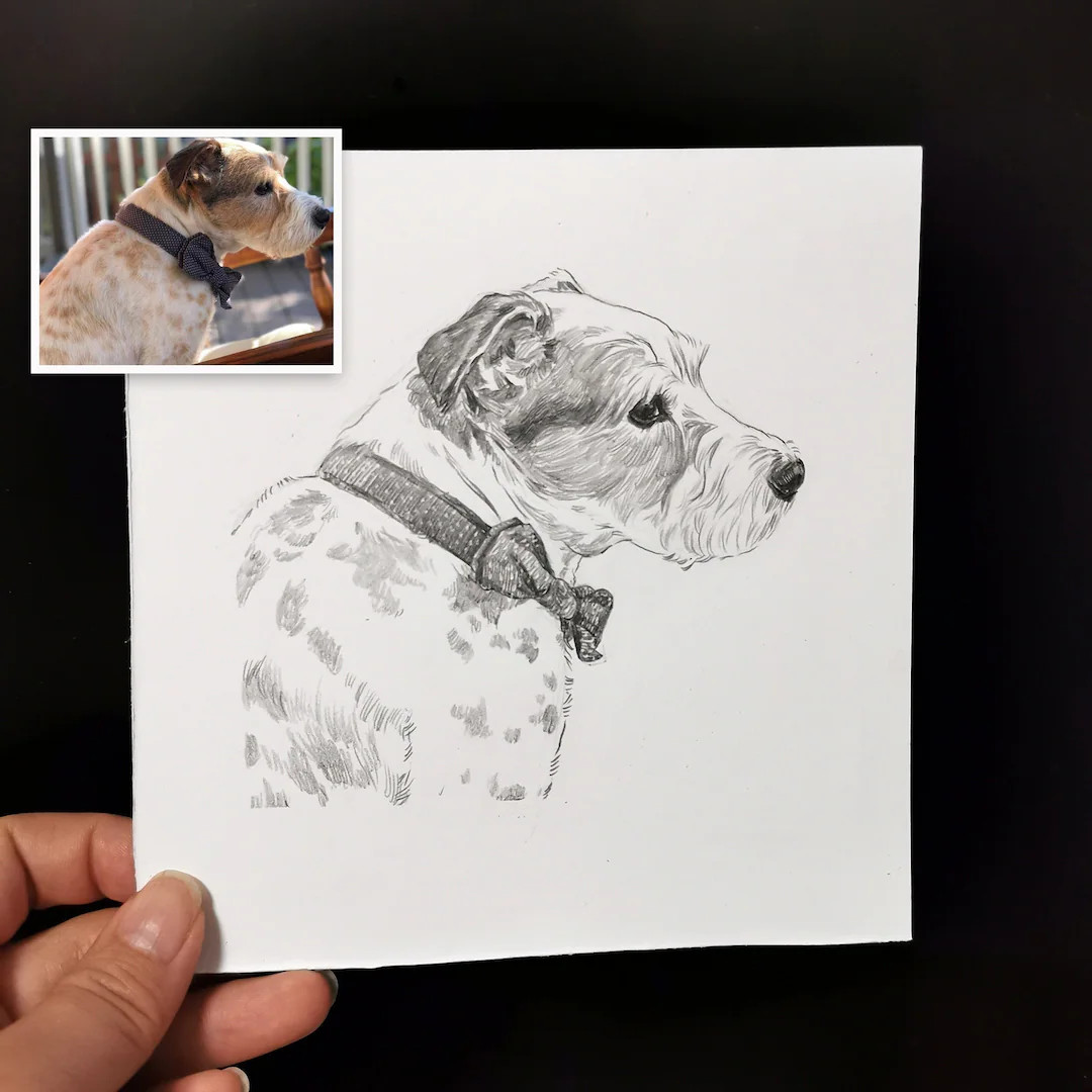 Dog Cat Lover Gift, Custom Pet portrait Hand Drawn, Drawing from photo, Pet Memorial | Etsy (US)