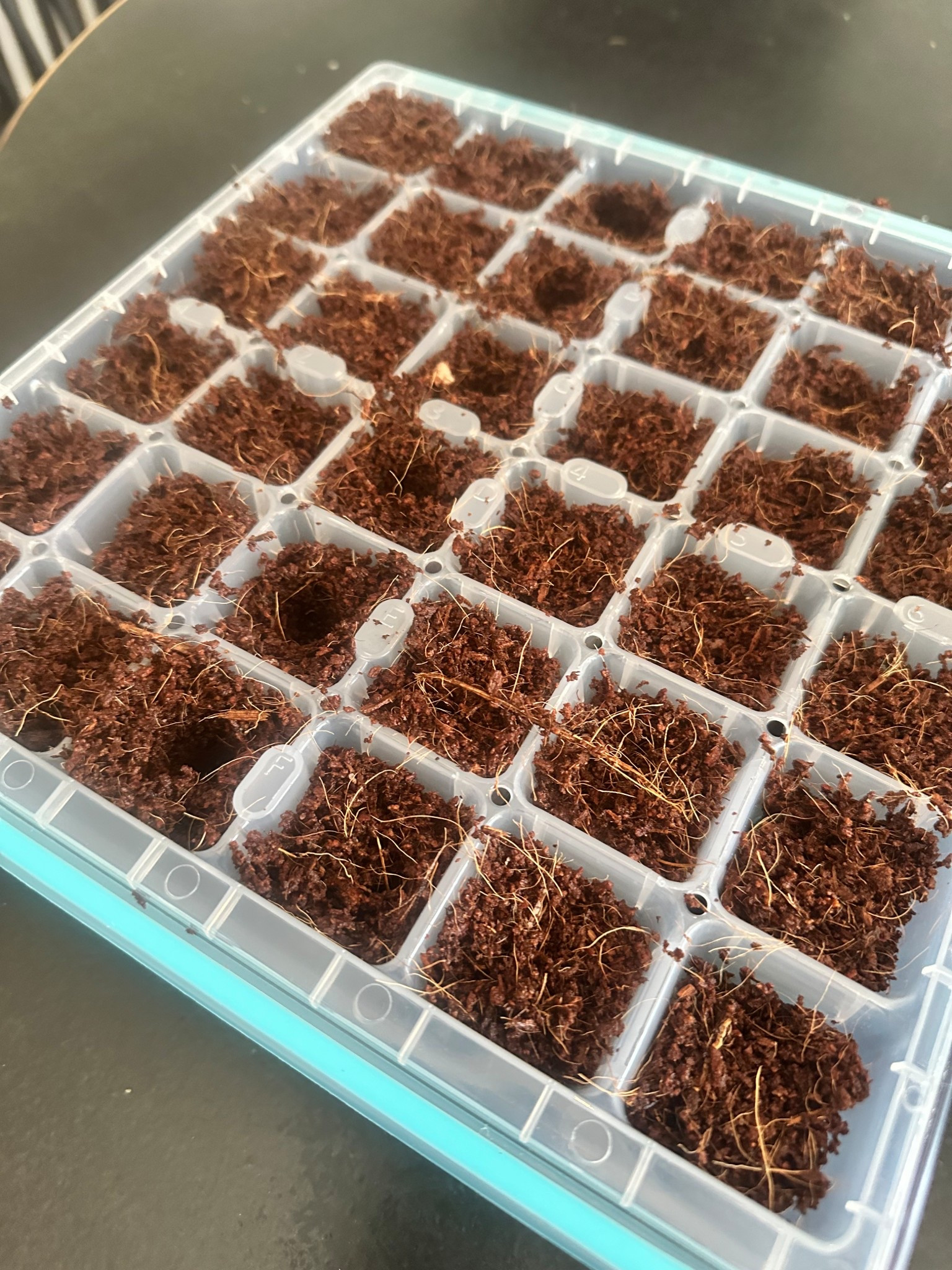 Fun fact… a sharpie is the best tool for planting in your starter trays 🌱We are planting some herbs and vegetables in our starter trays this month to kick off our vegetable garden. 

Linking some of our favorites below, if you’re doing some spring garden planning and want some garden recommendations, check out some of my other posts!

#LTKSeasonal #LTKFindsUnder50 #LTKHome