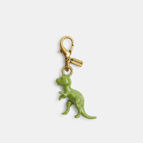 Coach DIY Dinosaur Charm | Poshmark