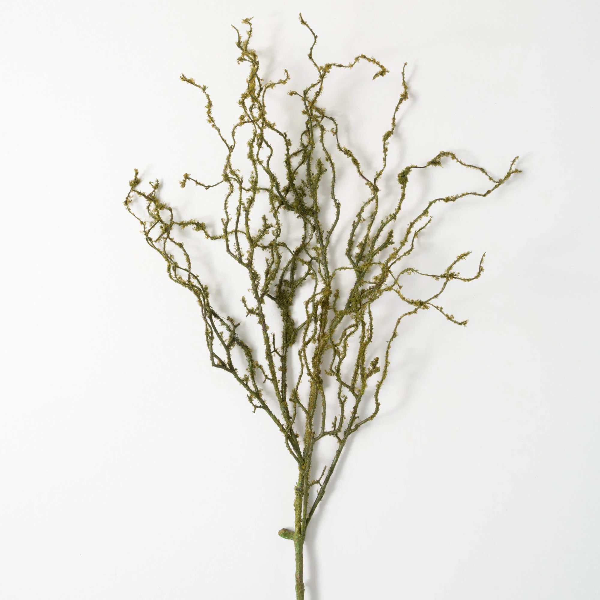 Primrue Twig Arrangement | Wayfair | Wayfair North America
