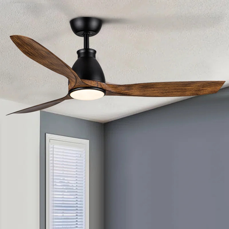 Darryl-Ross 52'' Ceiling Fan with LED Lights | Wayfair North America