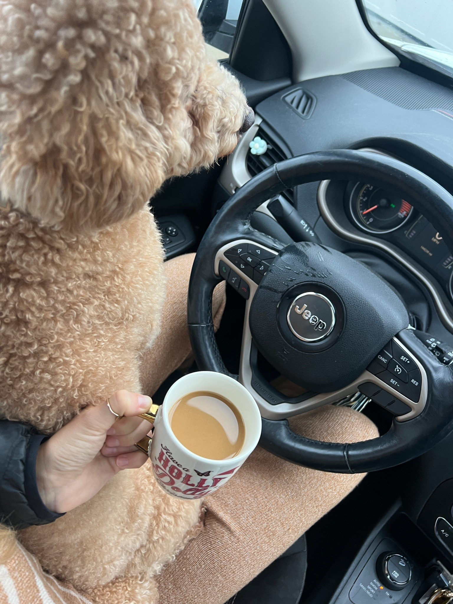 FRANKIEEEE & COFFEE — 11.26.25 🤎☕️

Medium in Walmart sweater jogger set (TTS)
Dolly Parton mug is also from Walmart 🩷

Walmart fashion, Walmart finds, Walmart sets, Walmart clothing, women’s clothing, women’s sets, sweater sets, jogger sets, casual outfits, winter outfits, trending outfits, hot deals, Black Friday week, Cyber week, dogs of LTK, coffee mugs, Dolly Parton mug

#LTKdayinmylife #LTKootd #LTKmorningroutine