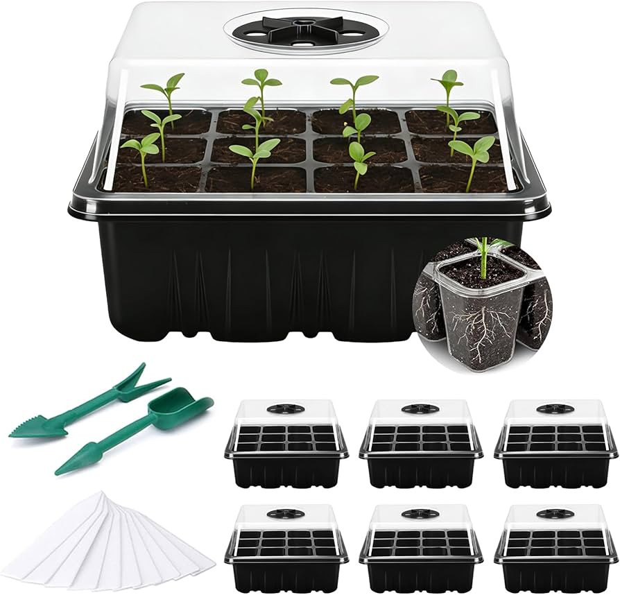 Fox·Bunny Propagator, 6 Pack Propagators for Plants,12-Cell Seed Trays with Lids,Indoor Gardenin... | Amazon (UK)
