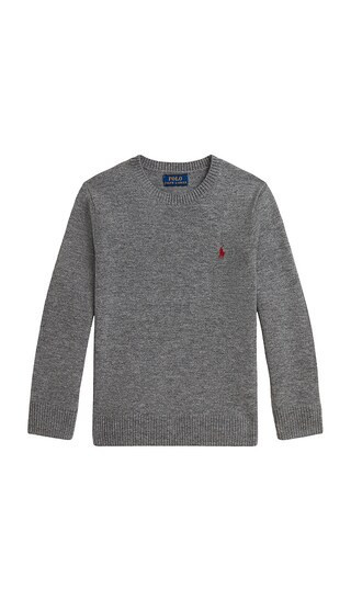 Polo Ralph Lauren Long Sleeve Crewneck Sweater in Grey. - size 2 | Revolve Clothing (Global)