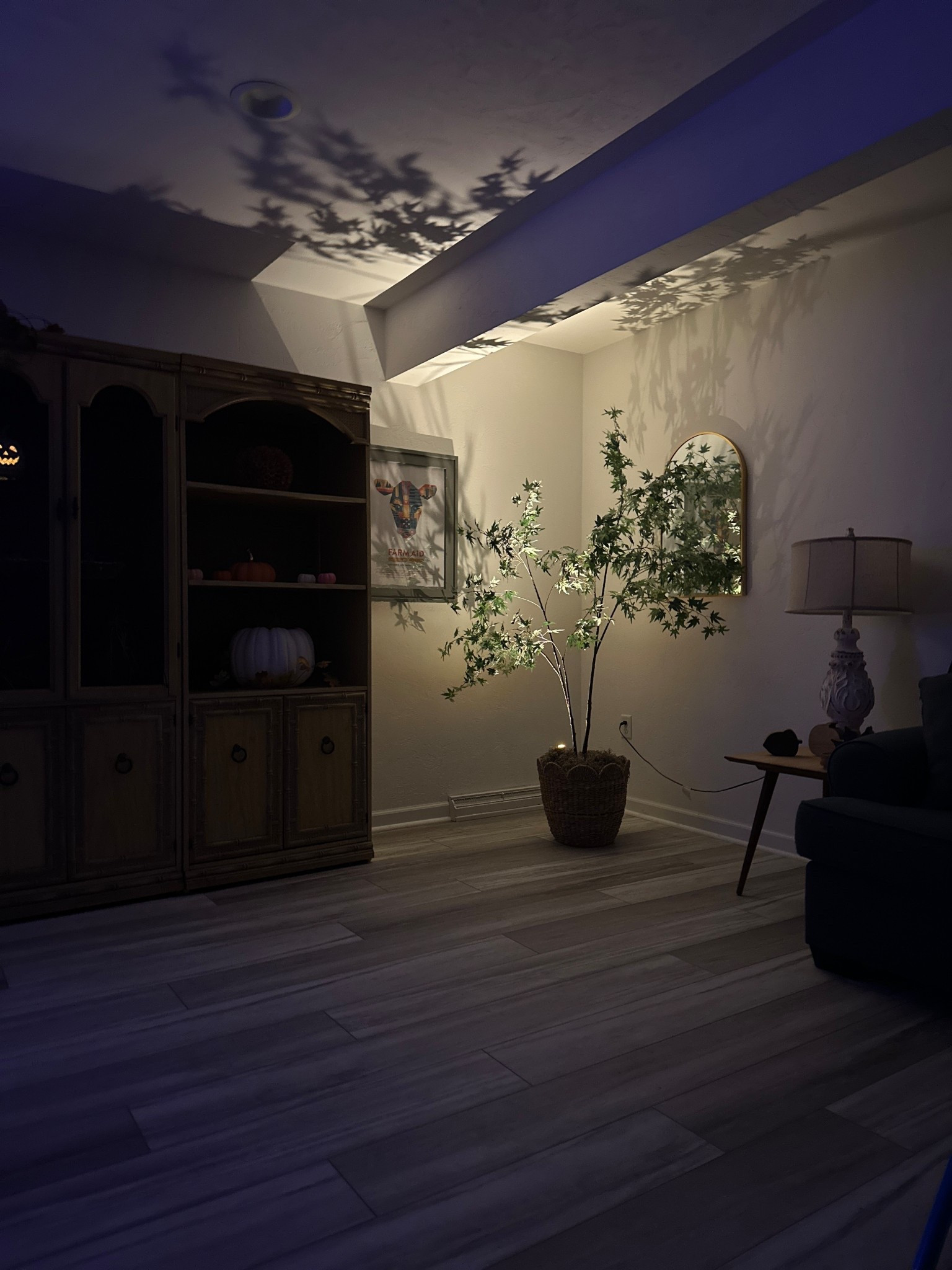 Wireless LED spotlight 

#LTKFamily #LTKHome #LTKFindsUnder50