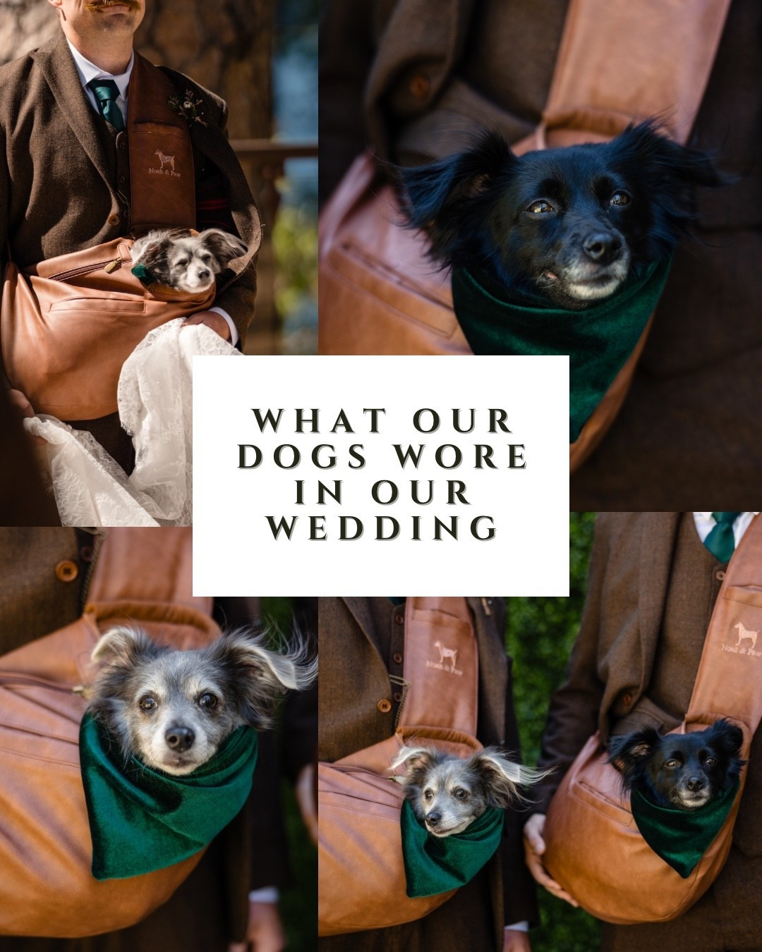 We had to have our babies up there with us as we got married! This is what they wore on our wedding weekend. 

#LTKWedding