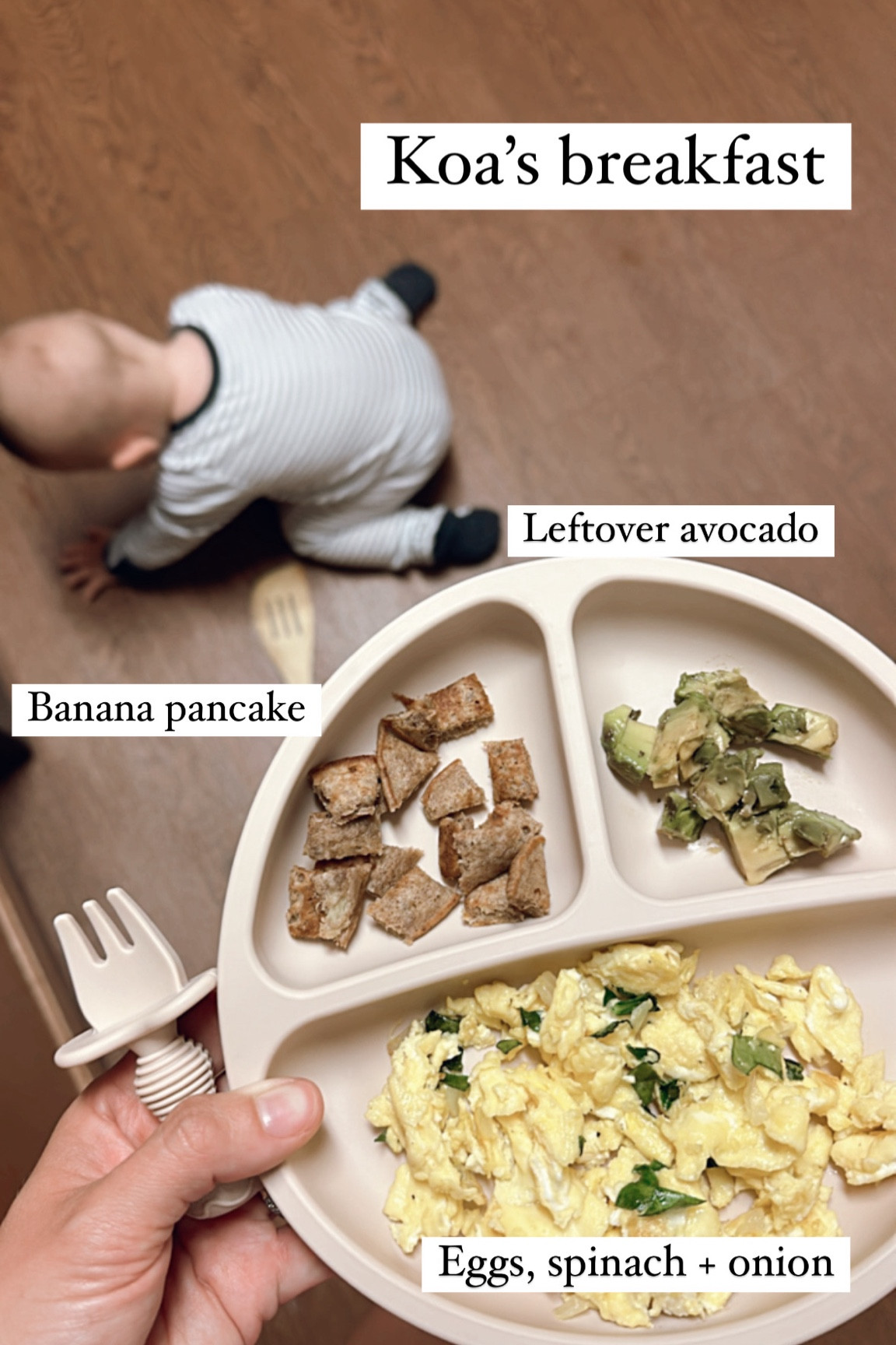 Baby led weaning essentials, baby essentials, BLW, baby solids, starting solids, baby plates, baby utensils, neutral baby, baby boy

#LTKKids #LTKBaby