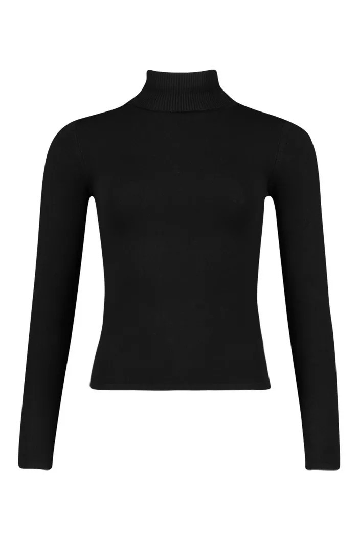Petite Fine Knit Roll Neck Jumper | Boohoo.com (UK & IE)