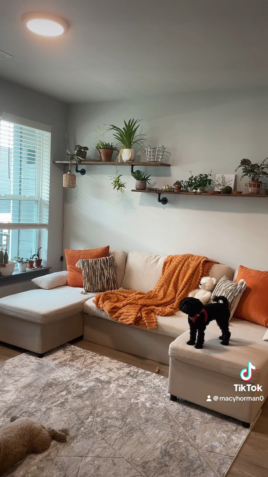 #LTKU #LTKHome #LTKSaleAlert