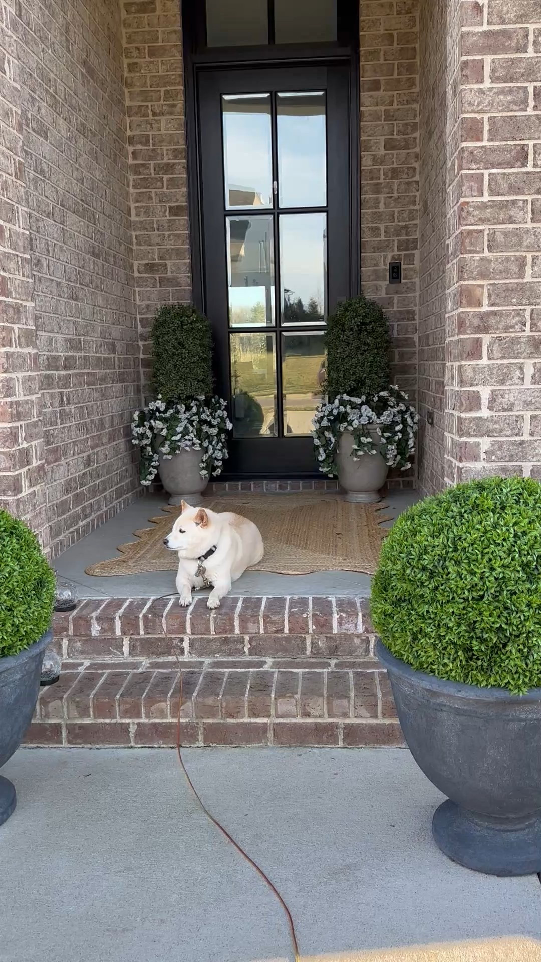 Porch is ready for spring! Grab my favorite planters, rug, and faux plants and flowers 


#LTKFindsUnder100 #LTKWatchNow #LTKSeasonal