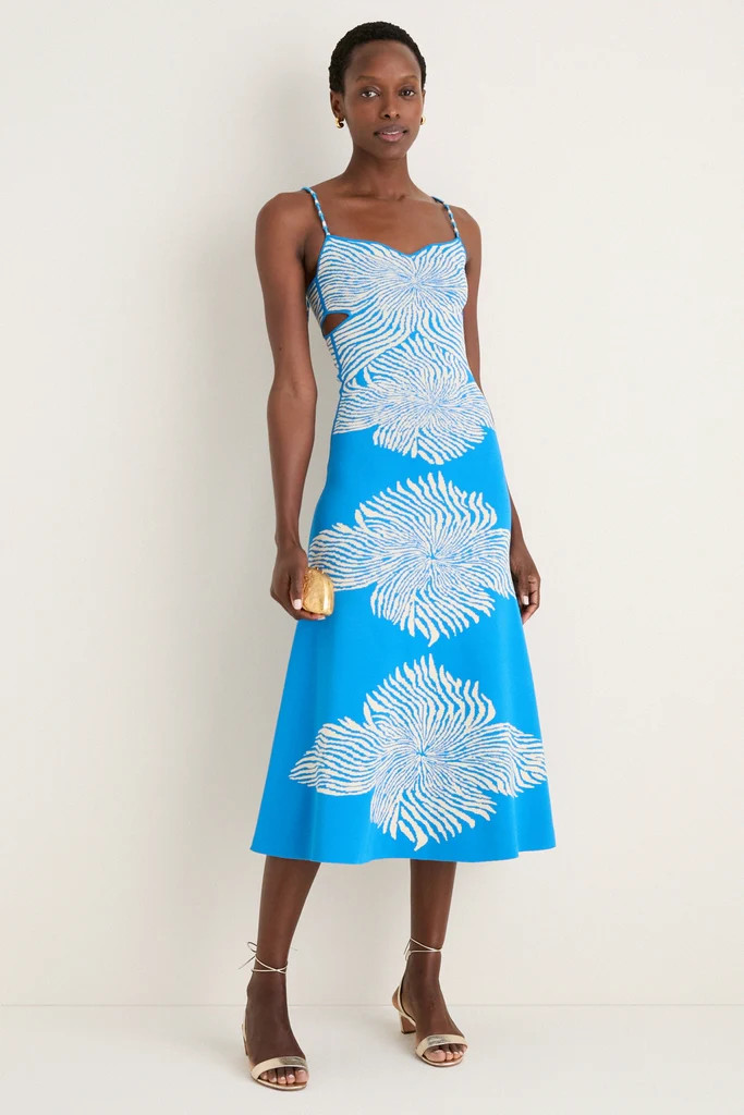 Blue Bloom Rayana Maxi Dress | Tuckernuck (US)