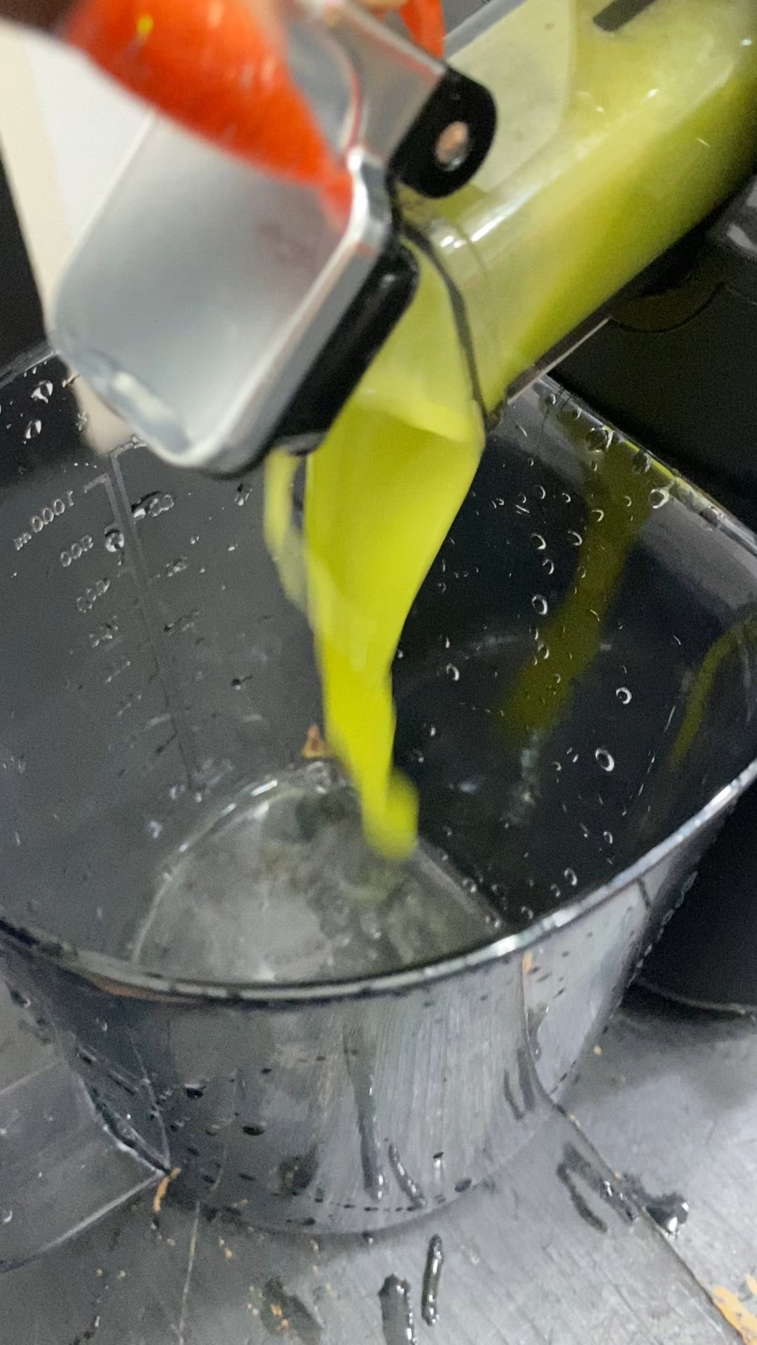 My juicer is truly the MVP of my kitchen — quick, powerful, and perfect for daily juices, wellness shots, and homemade lemonades 🍏✨
If you’ve been wanting to start your wellness era, this is the one I recommend every single time.
I linked it on LTK so you can shop it while it’s still marked down!

#juicerlife #freshjuiceathome #healthyathome #juicingjourney #LTKhome #LTKfinds #LTKsale #shoppingfavorites #onlineshopping #kitchenmusthaves #ShoppingWithPriiincesss #Atlantamom #Atlantabloggers #Atlantablogger #AtlantaCreator #Atlantacontentcreators #Atlantacontentcreator

#LTKHome #LTKGiftGuide #LTKfitnessgoals