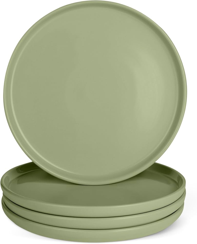 Amazon Basics Glazed Stoneware Dinner Plates, Ceramic 4-Piece Set, Microwave, Dishwasher and Free... | Amazon (US)