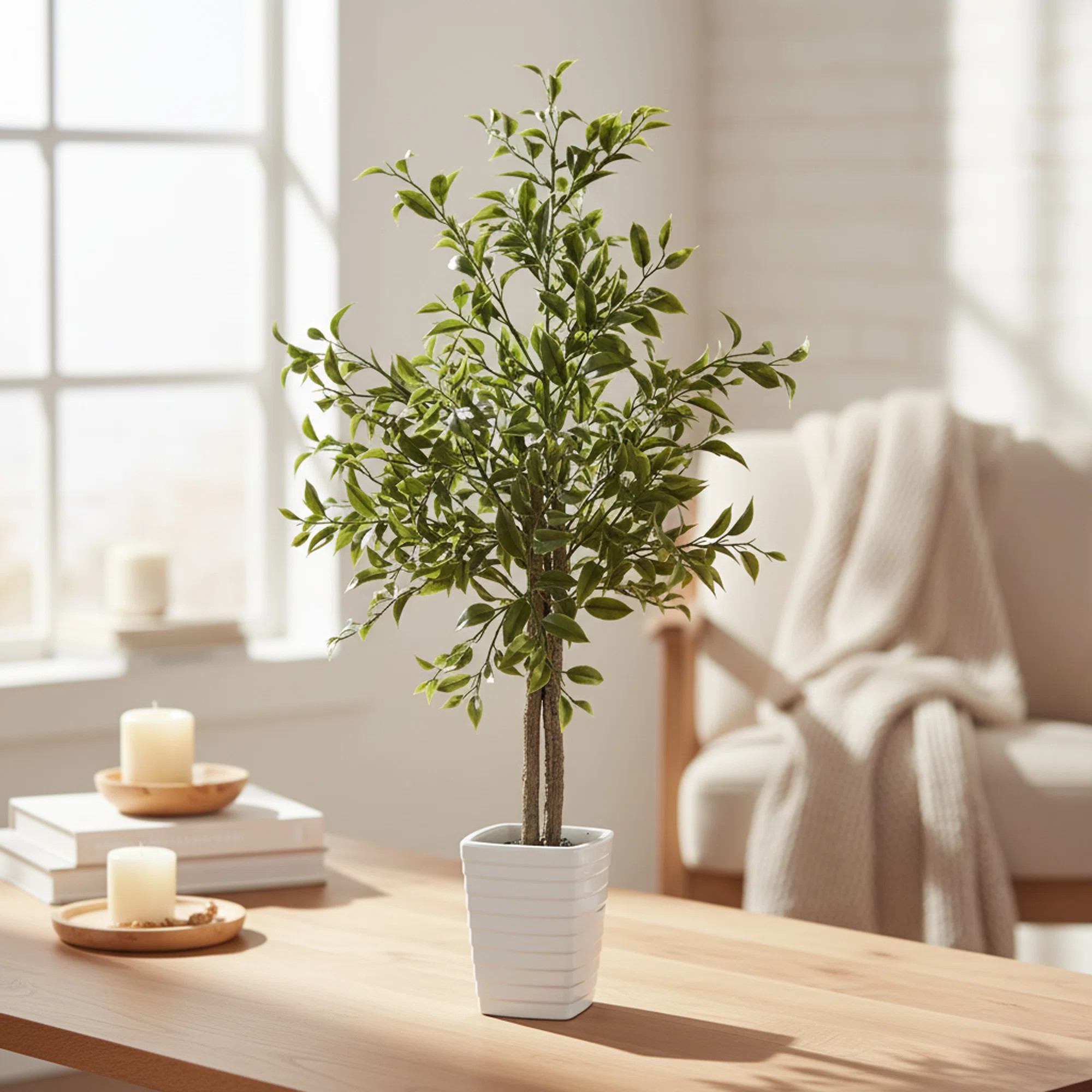 Algreen 29" Faux Ficus Tree in White Decorative Planter | Wayfair North America