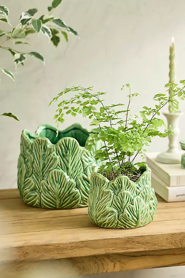 Cabbage Stoneware Pot | Anthropologie (US)
