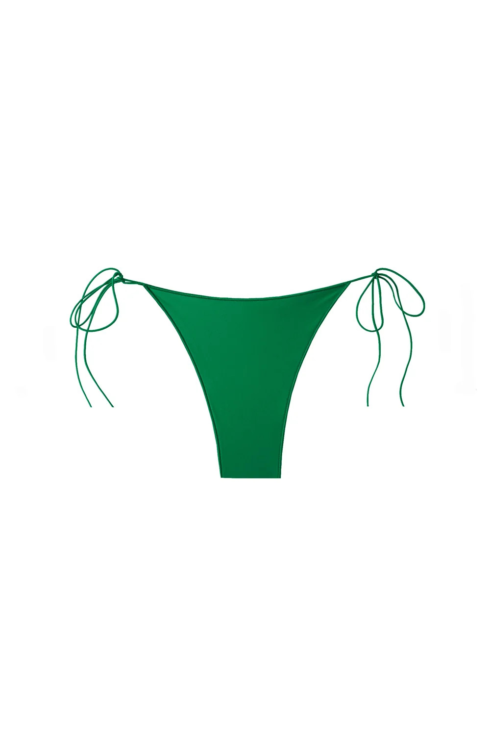 the C bottom in iguana
          








  
  
    
    
    
      if(typeof isGwHelperLoaded !... | Tropic of C