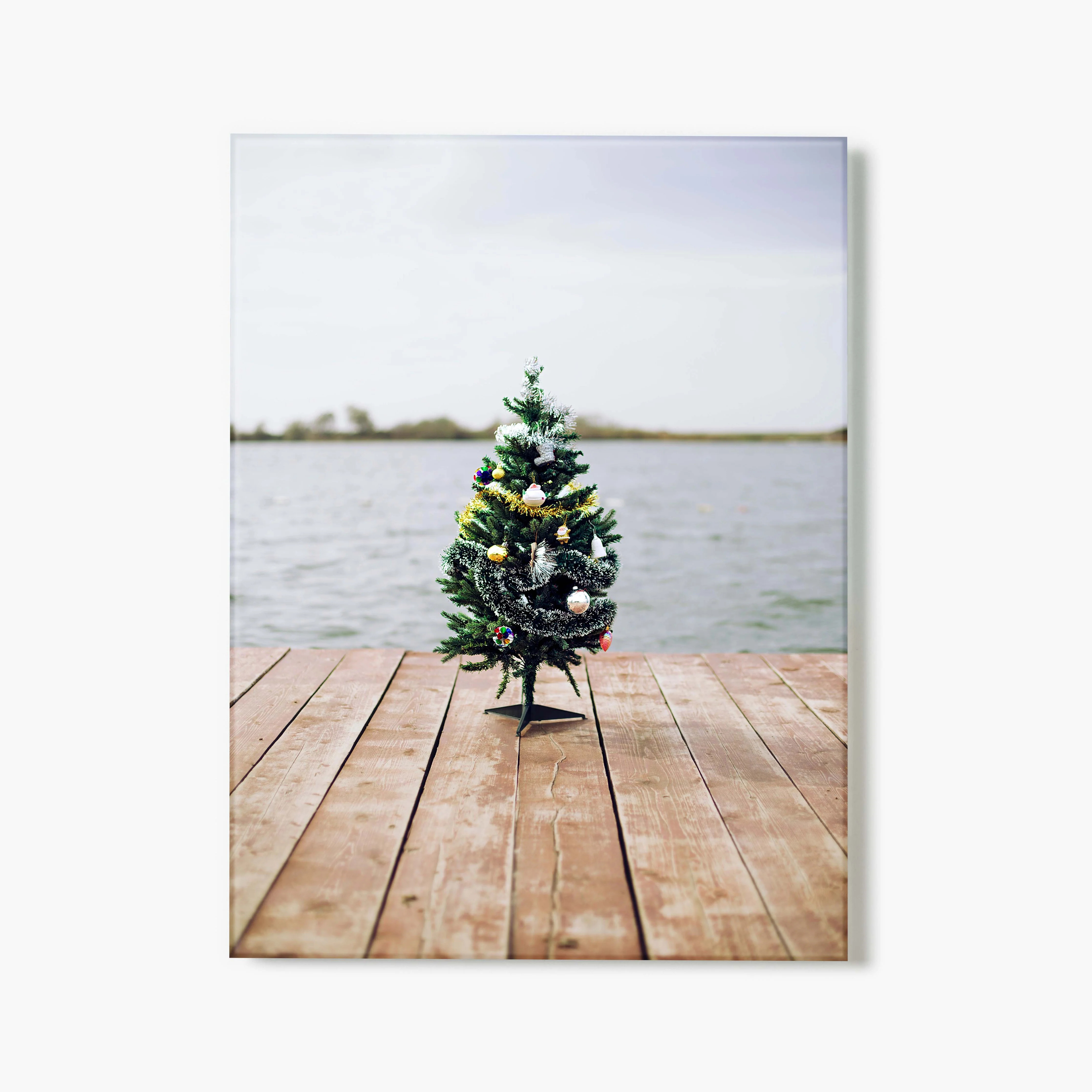 Tinsel And Tide | Fracture