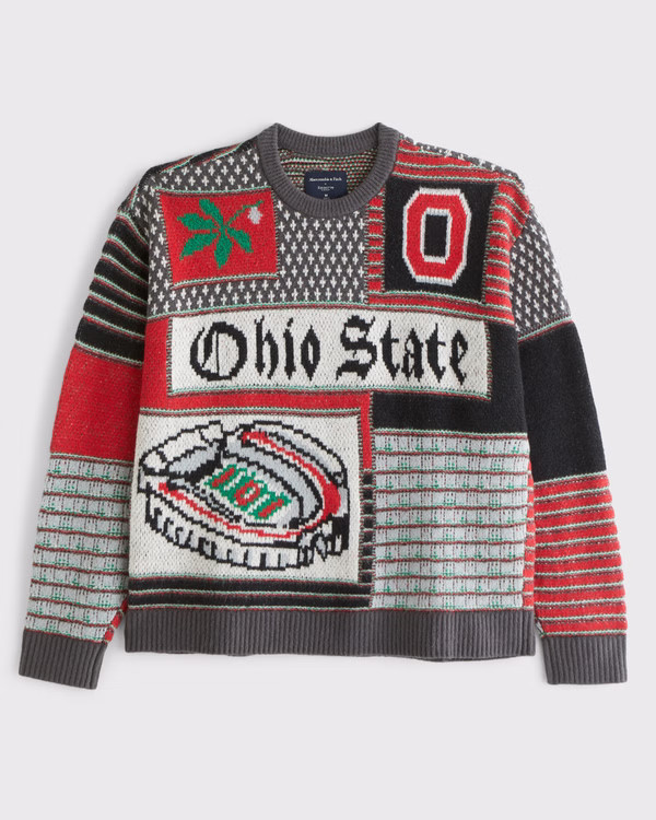 The Ohio State University Graphic Crew Sweater | Abercrombie & Fitch (US)