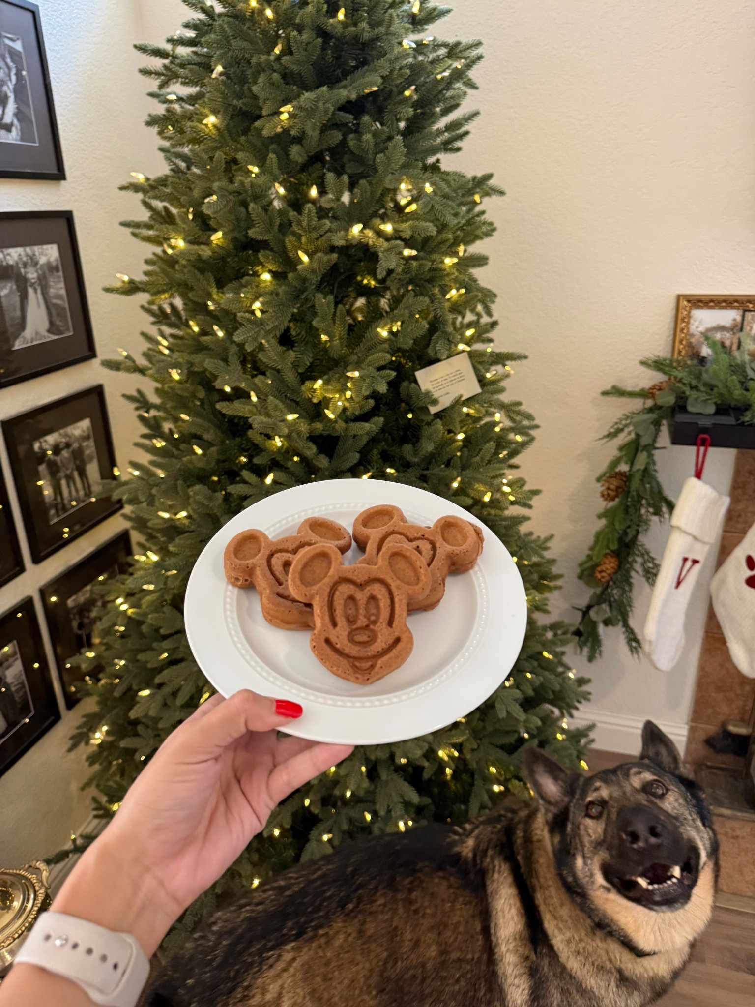 Saturday morning Mickey waffles 
Just missing Main Street 🥺
This waffle maker makes me feel like I’m back in the parks, perfect for all my long distance girls 🤍

#LTKHome #LTKHoliday #LTKGiftGuide
