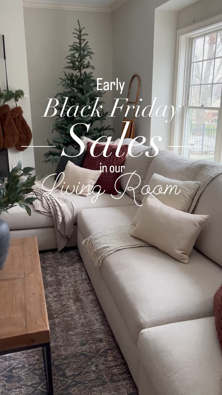 Black Friday sales in our living room!  Our rug is 69% off now!


Living room rug area rug sale neutral rug vintage rug Loloi rug throw pillow Christmas tree Christmas decor 

#LTKunder50 #LTKsalealert #LTKstyletip