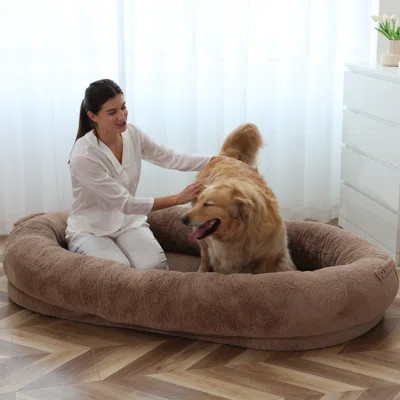 Khaki Large Size Bean Bag Bed for Adults, Pets, Washable Napping Pet Beds with side carrying handle | Wayfair Professional