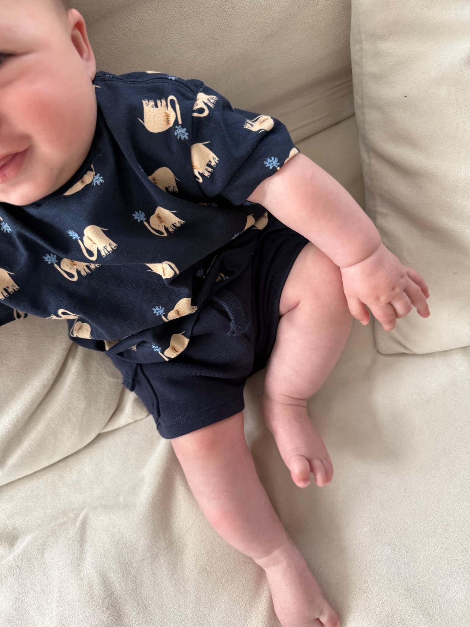 Elephant set from Amazon x Sofia grange 

#LTKBaby