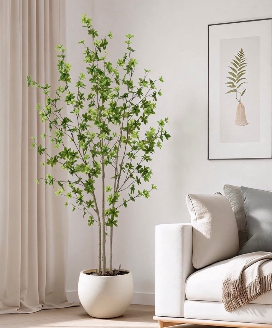 •	🌳Luxurious Beauty: Celebrated as the "masterpiece in the world of foliage," this 6 tall artificial Enkianthus tree boasts 392 lifelike leaves, bringing a touch of elegance and sophistication to your living space.
	•	🌿Realistic Design: Crafted to perfection, it features dense foliage that closely mimics the natural beauty of an Enkianthus tree, enhancing any indoor setting.
	•	🛡️Low-Maintenance: Enjoy year-round greenery without the hassle of watering or pruning, making it a convenient choice for busy lifestyles.
	•	🌲Premium Craftsmanship: Made with high-quality materials, this faux tree retains its vibrant color and lifelike appearance over time.
	•	🏡Versatile Decor: Perfect for living rooms, bedrooms, offices, and more, its beauty and charm make it a standout piece in any interior space @walmart