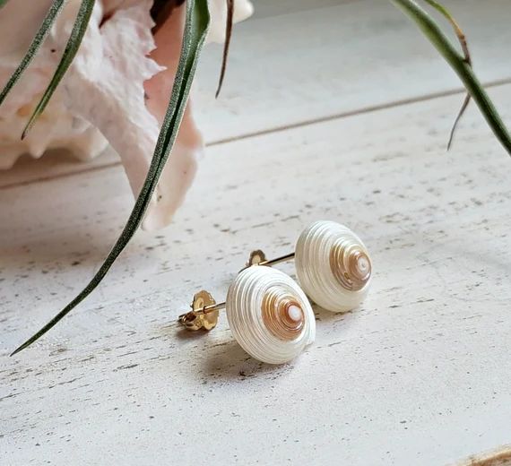 Spiral Shell Stud Earrings Beach Shell Studs Iridescent | Etsy | Etsy (US)